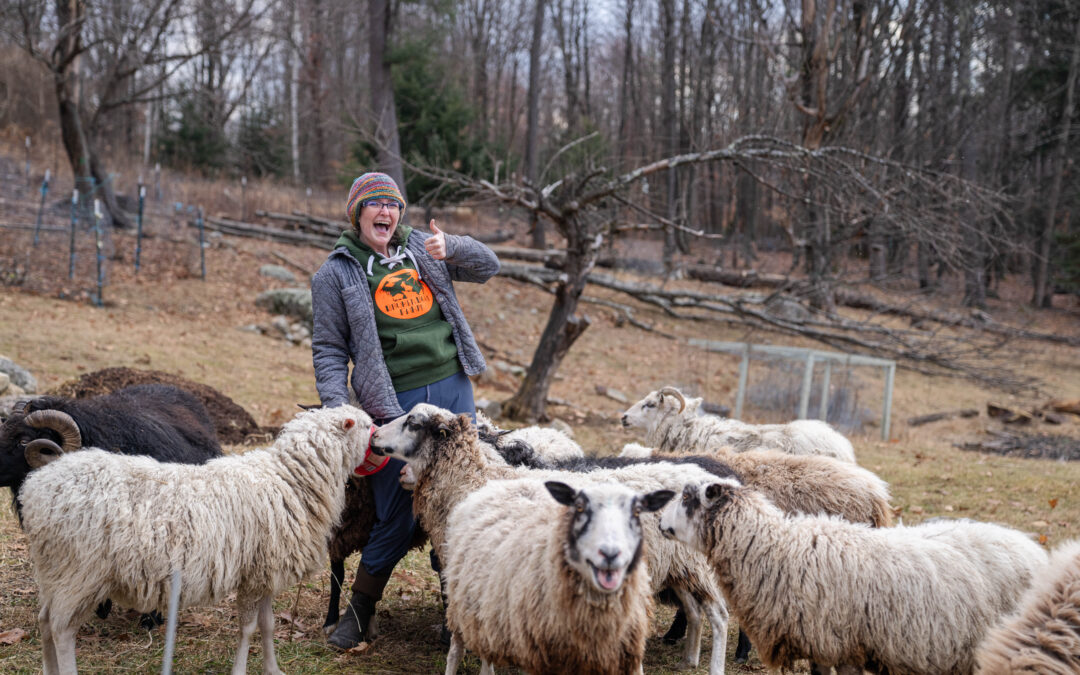 What Do You Get with 9 Goats, 30 Sheep, and $10K? A Farming Business on Its Way