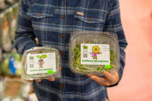 A close up shot of a person in a blue flannel holding sunflower and radish microgreens.