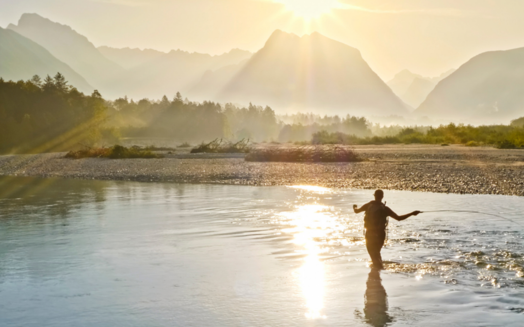 Why Business Transitions Matter